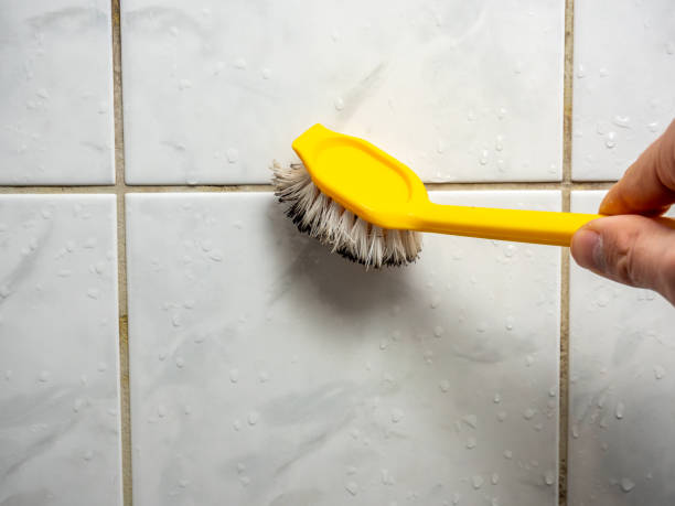 Best Home Mold Removal  in Minersville, PA