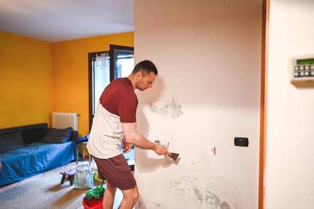 Best Water Damage Restoration  in Minersville, PA
